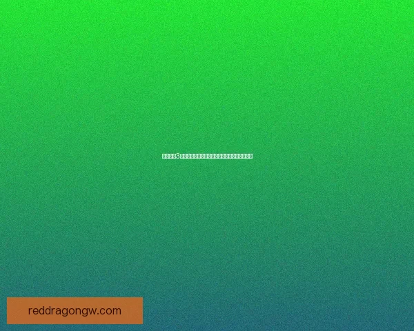 大航海家3全攻略从入门到精通全面指南助你制霸海洋世界